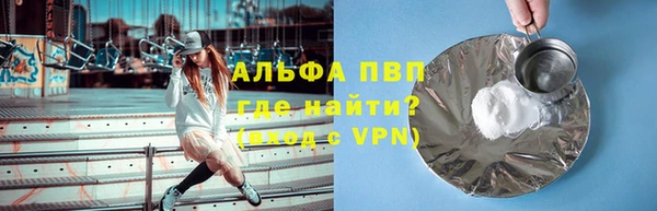 хмурый Аркадак