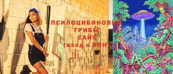 хмурый Аркадак
