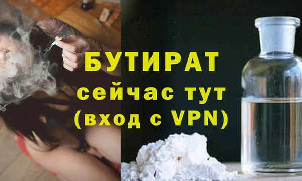 хмурый Аркадак