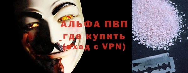 хмурый Аркадак