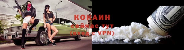 хмурый Аркадак