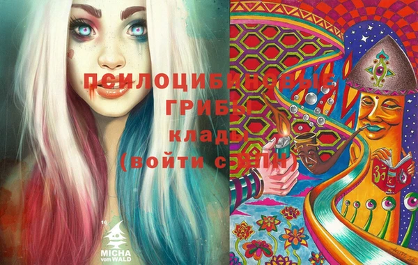 Альфа ПВП Армянск
