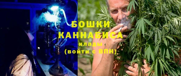 хмурый Аркадак