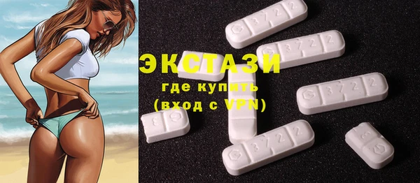 хмурый Аркадак