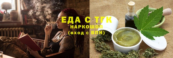 хмурый Аркадак